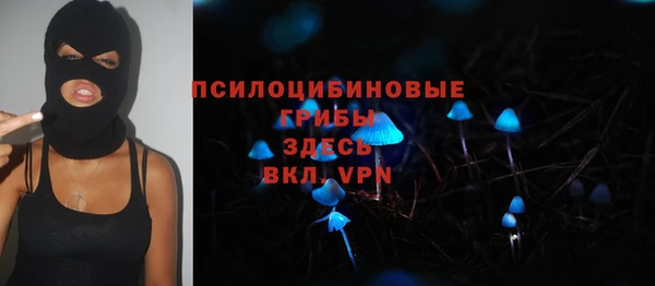 прущие крисы Алзамай
