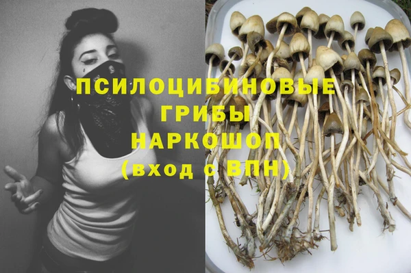 прущие крисы Алзамай