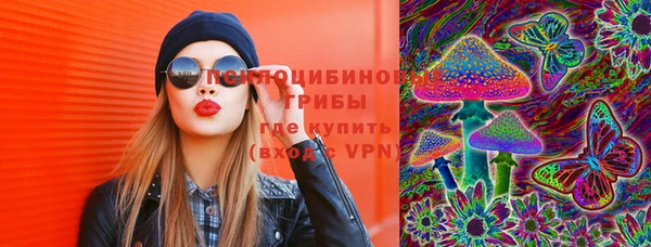 СК Алексеевка
