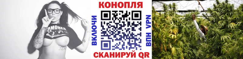 Конопля гибрид  Поронайск 